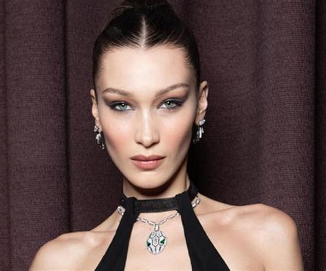 bella hadid biography.